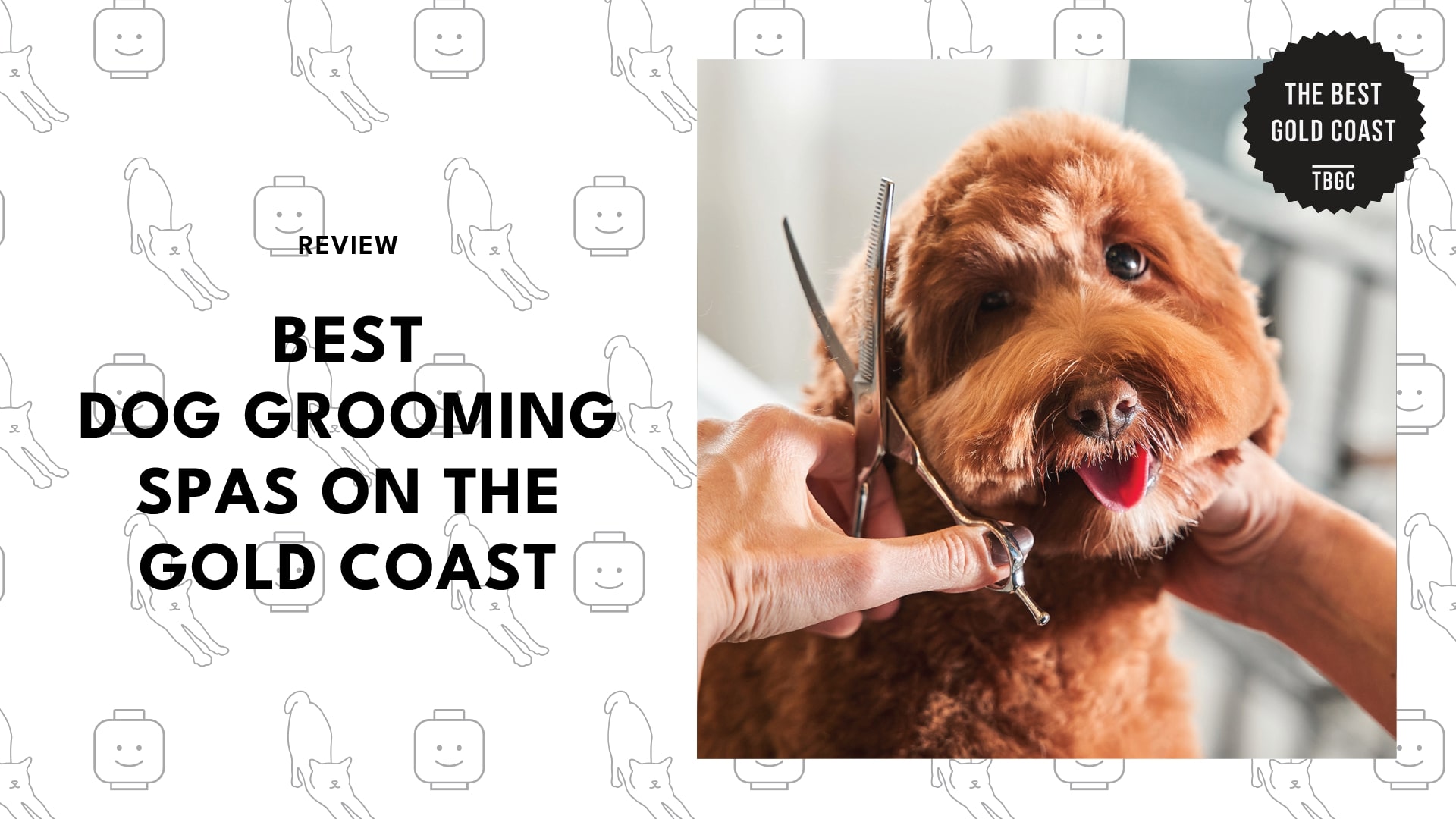 best-dog-grooming-spas-gold-coast-banner