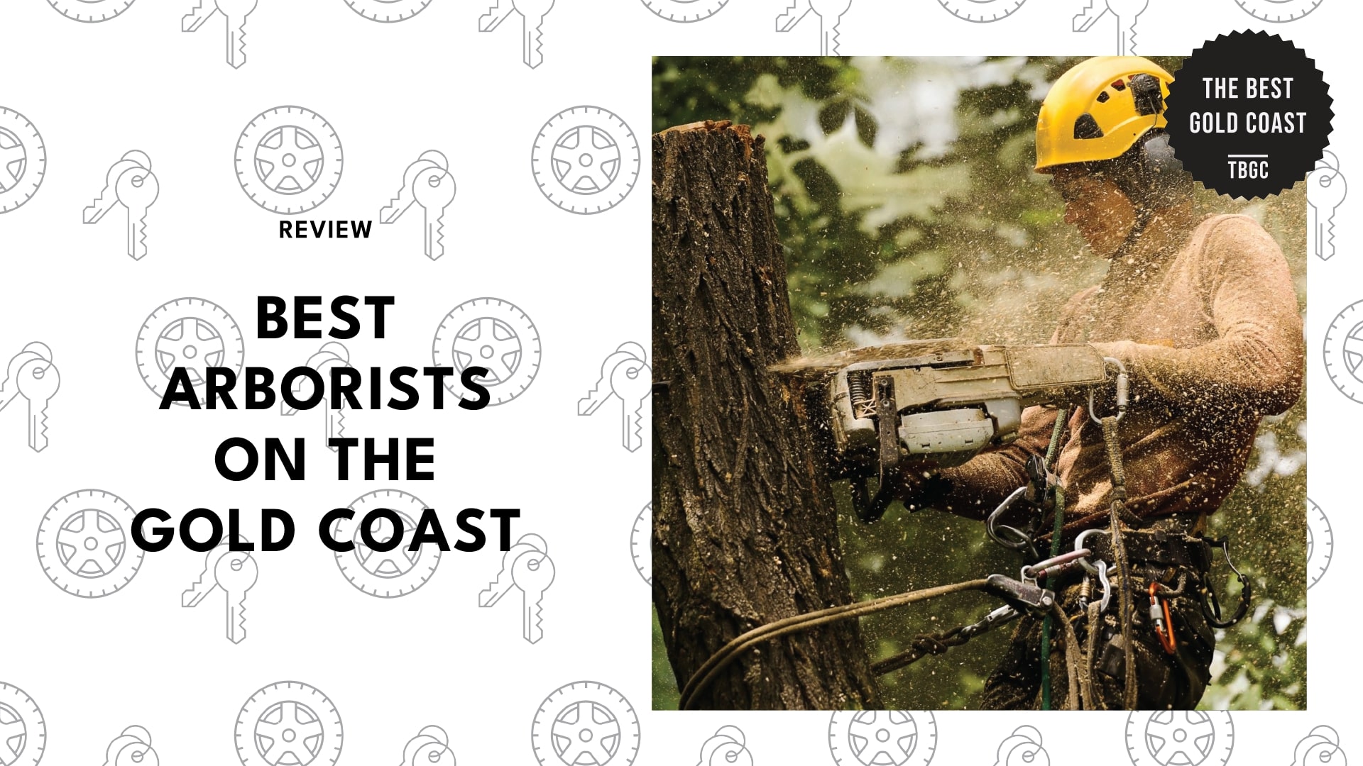 best-arborists-gold-coast-banner