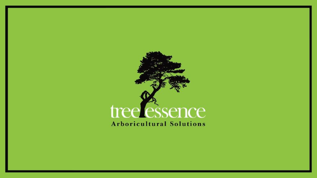 tree-essence-logo